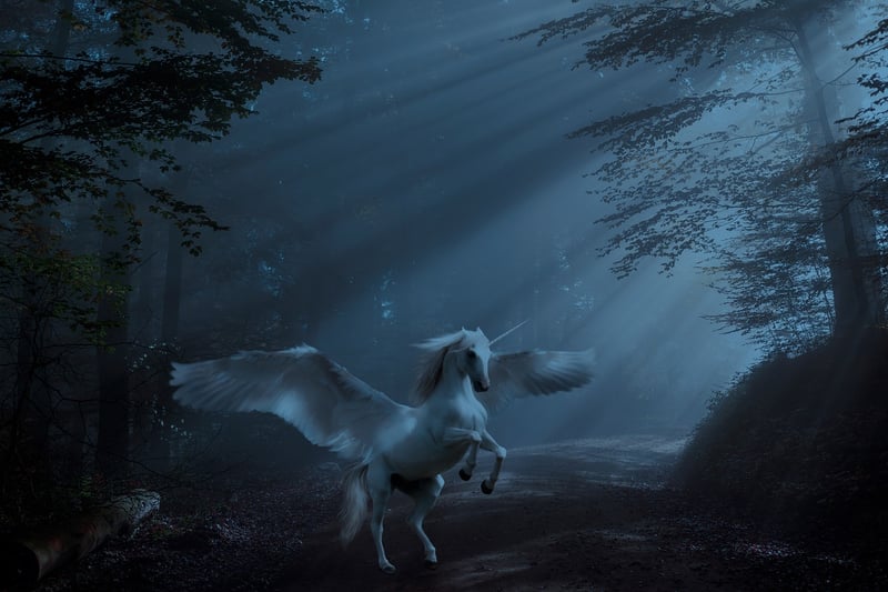 Unicorn Inspired